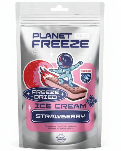 Planet Freeze Dried Ice Cream Strawberry 40g