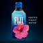 FIJI Artesian Water 500ml