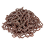 Trolli Spaghettini Cola Sour 100g