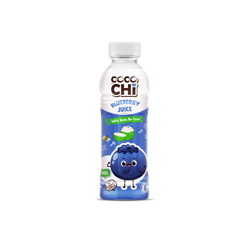 Cocochi Blueberry Juice Nata De Coco 450ml