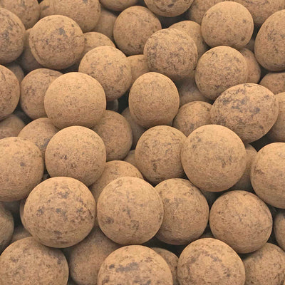Coffee Hazelnut