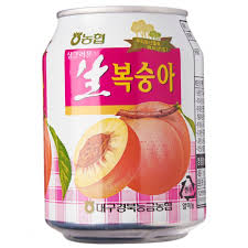 NH Peach Juice Drink 240g